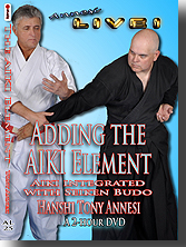 Adding the Aiki Element