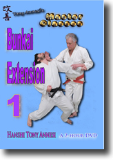 Bunkai Extension