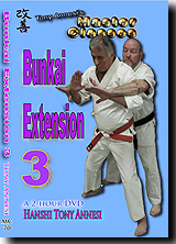 Bunkai Extension 2