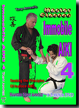 Immobile Aiki 4