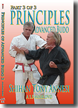 Principles of Advanced Budo 3