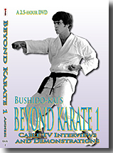 Beyond Karate 1