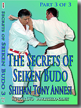 Secrets of Seiken Budo 3