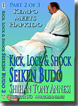 Kick, Lock, & Shock Seiken Budo 2